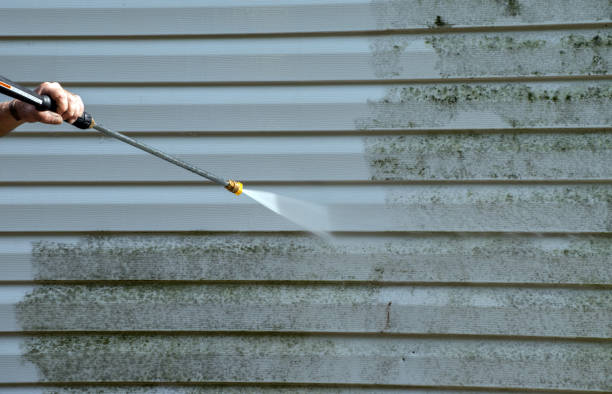 Best Certified Mold Removal  in New Eagle, PA