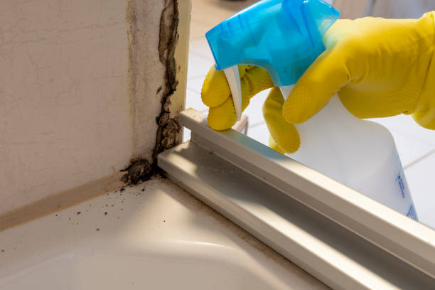 Best Crawl Space Mold Removal  in New Eagle, PA