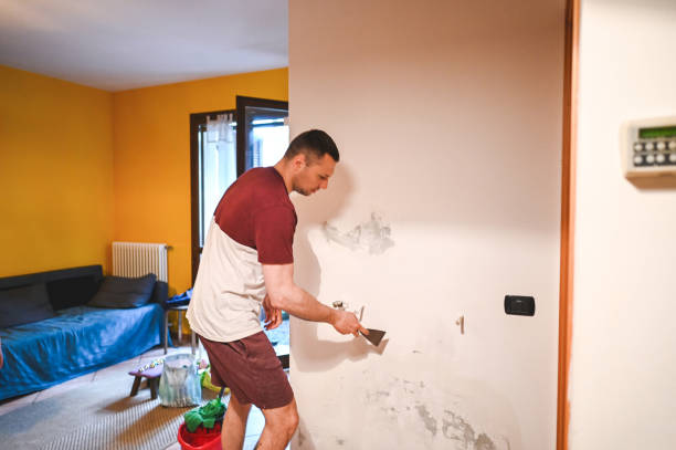 Reliable New Eagle, PA Mold Removal Solutions
